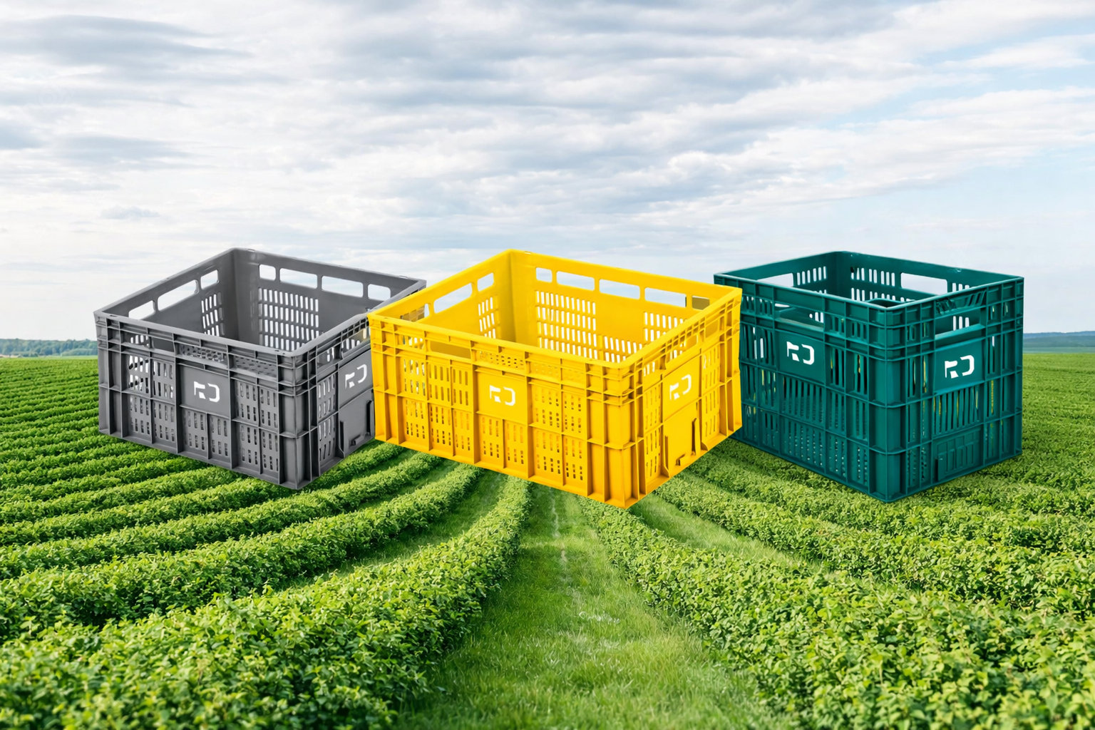 Caixa Plástica para Hortifrúti – Transporte e Armazenagem Seguros